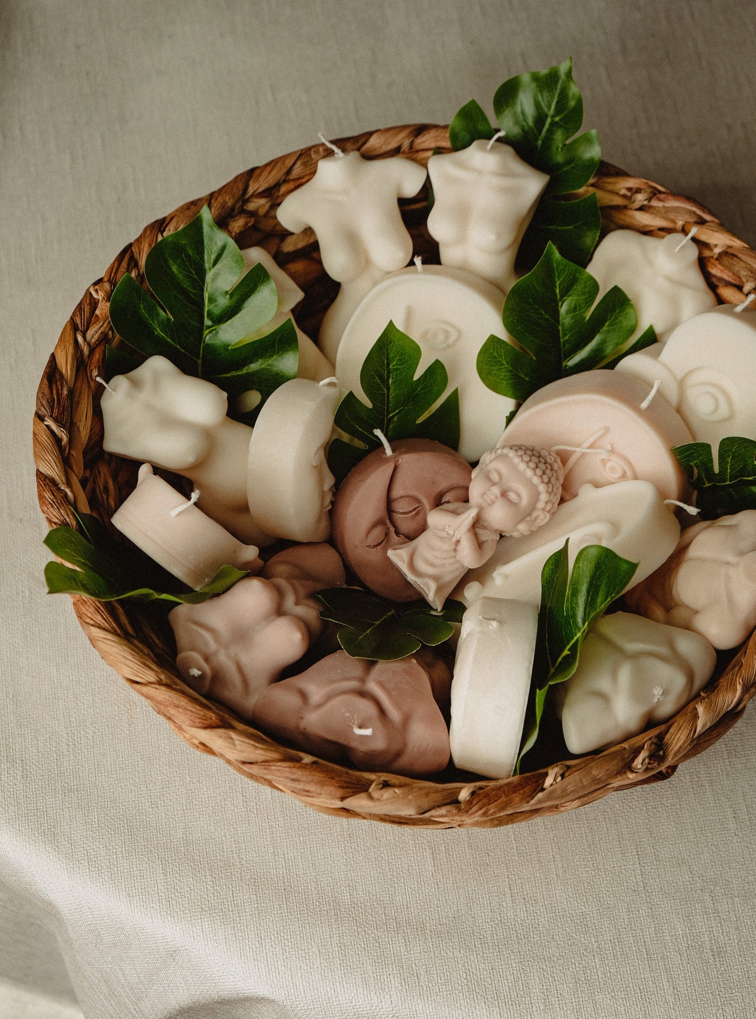 In unsere Welt eintauchen